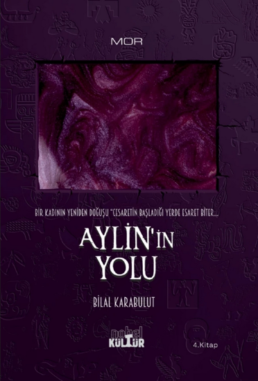 Aylin'in Yolu resmi