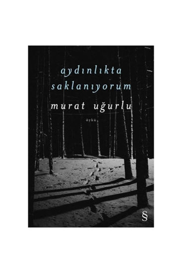 Aydınlıkta Saklanıyorum resmi