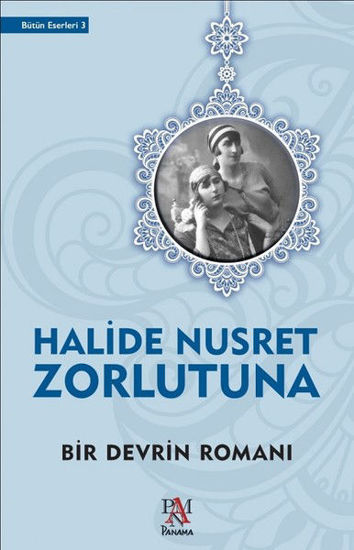 Bir Devrin Romanı resmi