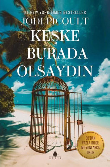 Keşke Burada Olsaydın resmi