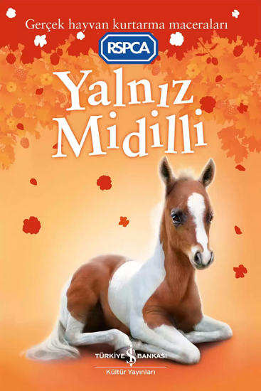 Yalnız Midilli resmi