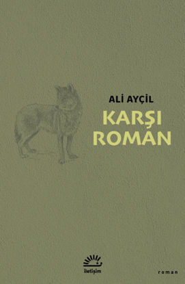 Karşı Roman resmi