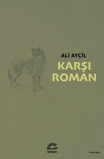 Karşı Roman resmi