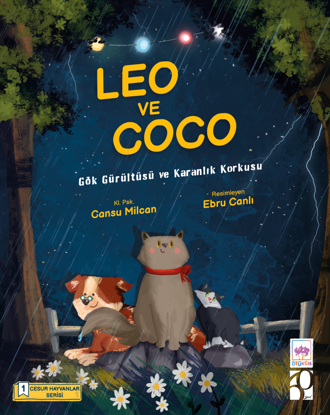 Leo ve Coco resmi