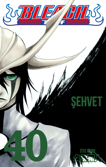 Bleach 40 Cilt - Şehvet resmi