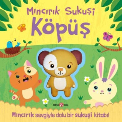 Mıncırık Sukuşi - Köpüş resmi