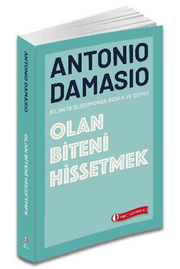 Olan Biteni Hissetmek resmi