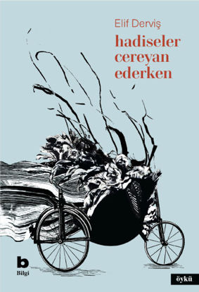 Hadiseler Cereyan Ederken resmi