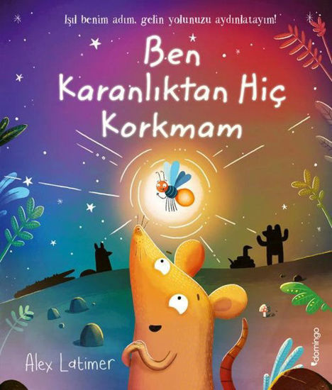 Ben Karanlıktan Hiç Korkmam resmi