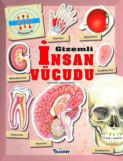 Gizemli İnsan Vücudu - Gizemleri Öğrenelim resmi