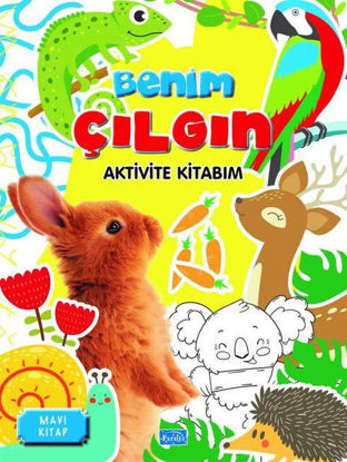 Benim Çılgın Aktivite Kitabım - Mavi Kitap resmi