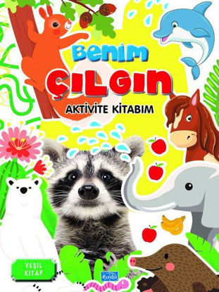 Benim Çılgın Aktivite Kitabım - Yeşil Kitap resmi