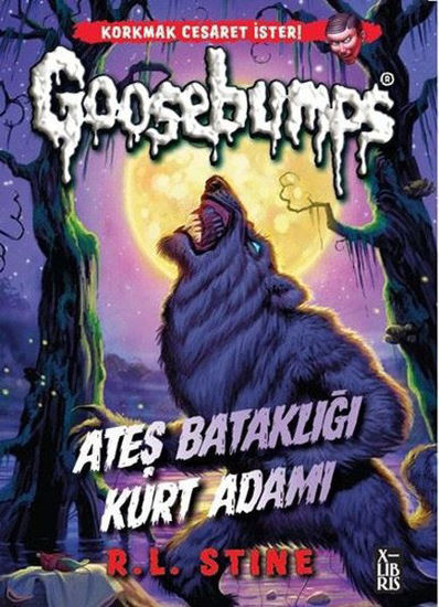 Goosebumps 3 - Ateş Bataklığı Kurt Adamı resmi