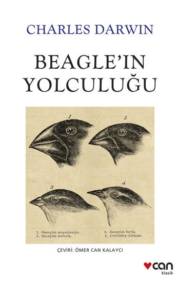 Beagle’ın Yolculuğu resmi