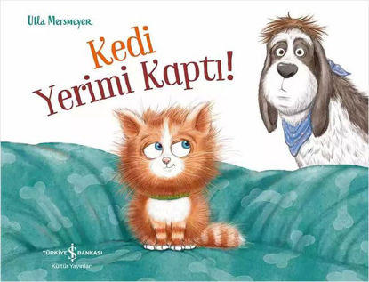 Kedi Yerimi Kaptı! resmi