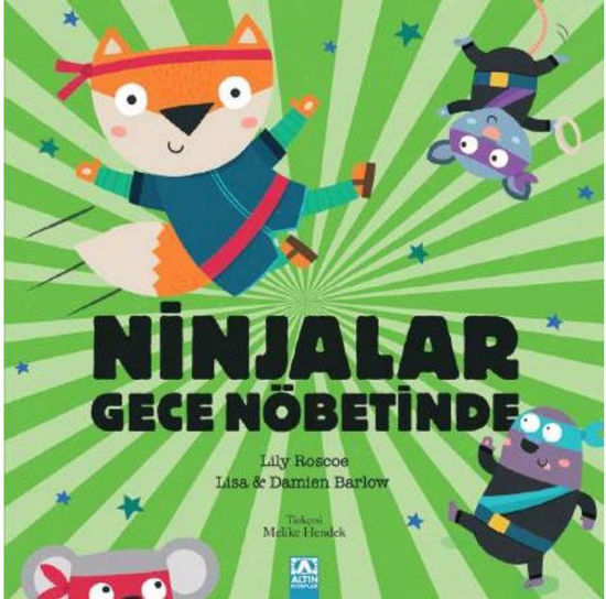 Ninjalar Gölge Nöbetinde resmi