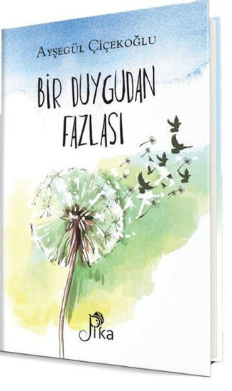 Bir Duygudan Fazlası resmi