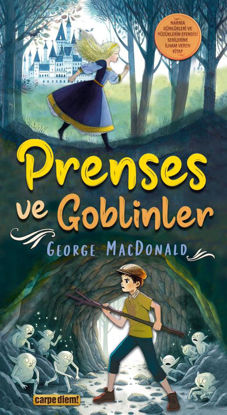 Prenses Ve Goblinler resmi