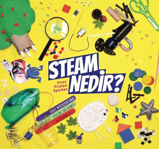 Steam Nedir? resmi