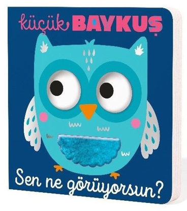 Küçük Baykuş resmi