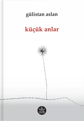 Küçük Anlar resmi