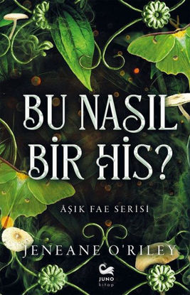 Bu Nasıl Bir His? resmi