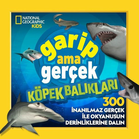 Garip Ama Gerçek - Köpek Balıkları resmi