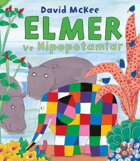 Elmer ve Hipopotamlar resmi