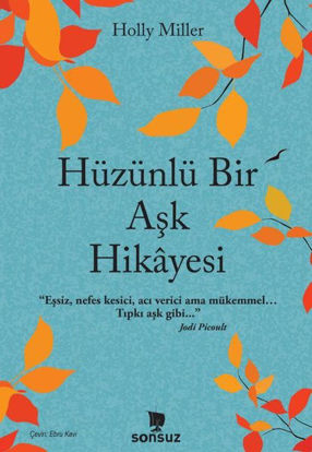 Hüzünlü Bir Aşk Hikayesi resmi