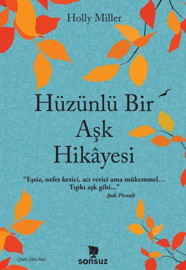 Hüzünlü Bir Aşk Hikayesi resmi