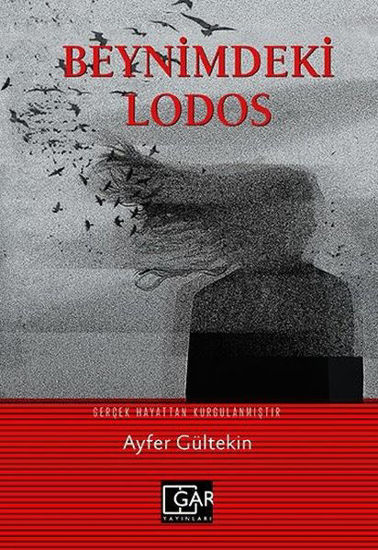 Beynimdeki Lodos resmi