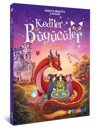 Kediler ve Büyücüler 3 resmi