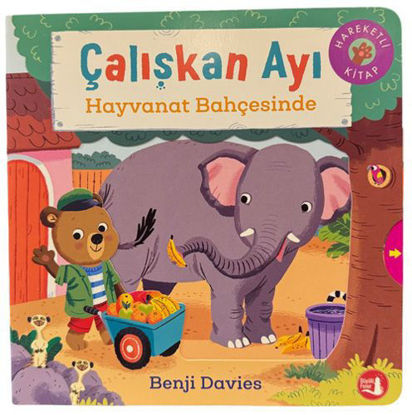 Çalışkan Ayı - Hayvanat Bahçesinde - Ciltli resmi