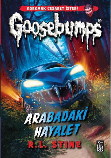 Goosebumps 5 - Arabadaki Hayalet resmi