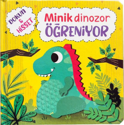 Minik Dinozor Öğreniyor resmi