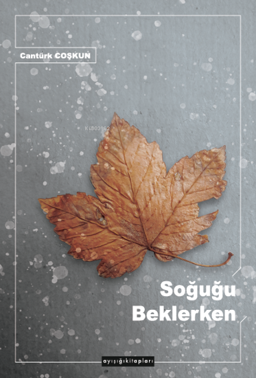 Soğuğu Beklerken resmi