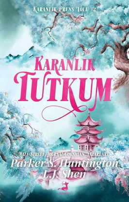 Karanlık Tutkum resmi