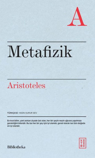 Metafizik resmi