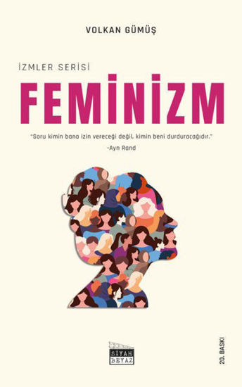 Feminizm resmi