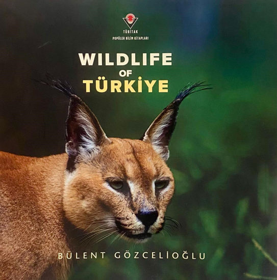 Wildlife Of Türkiye resmi