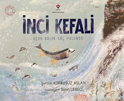 İnci Kefali resmi