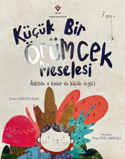 Küçük Bir Örümcek Meselesi resmi