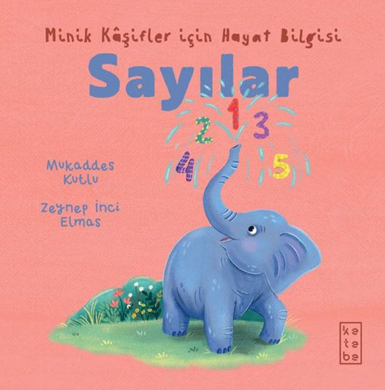 Sayılar - Minik Kaşifler İçin Hayat Bilgisi resmi