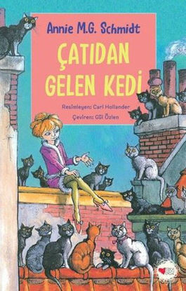 Çatıdan Gelen Kedi resmi