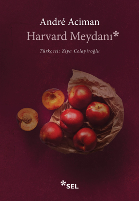 Harvard Meydanı resmi