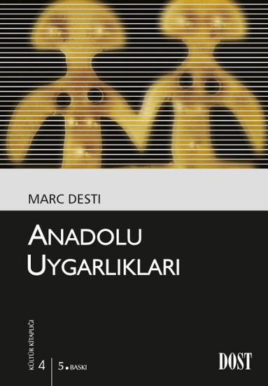 Anadolu Uygarlıkları resmi