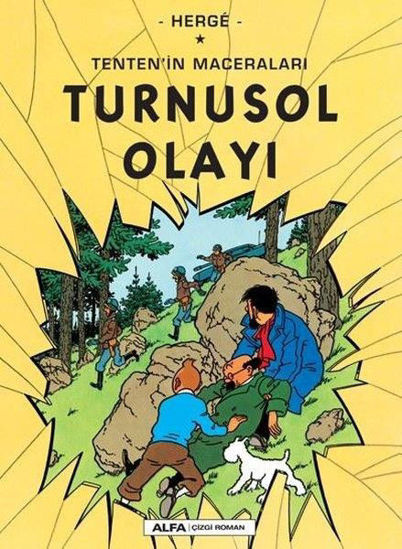 Tentenin Maceraları 18 - Turnusol Olayı resmi