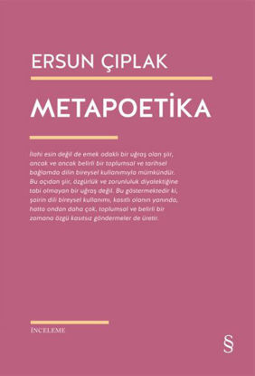 Metapoetika resmi