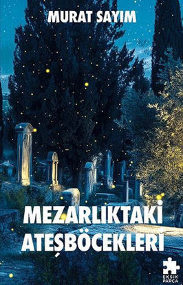 Mezarlıktaki Ateşböcekleri resmi