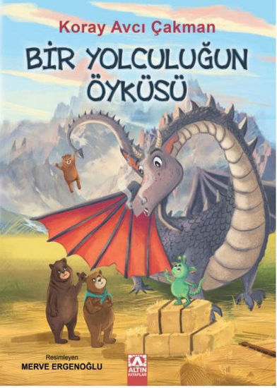 Bir Yolculuğun Öyküsü resmi